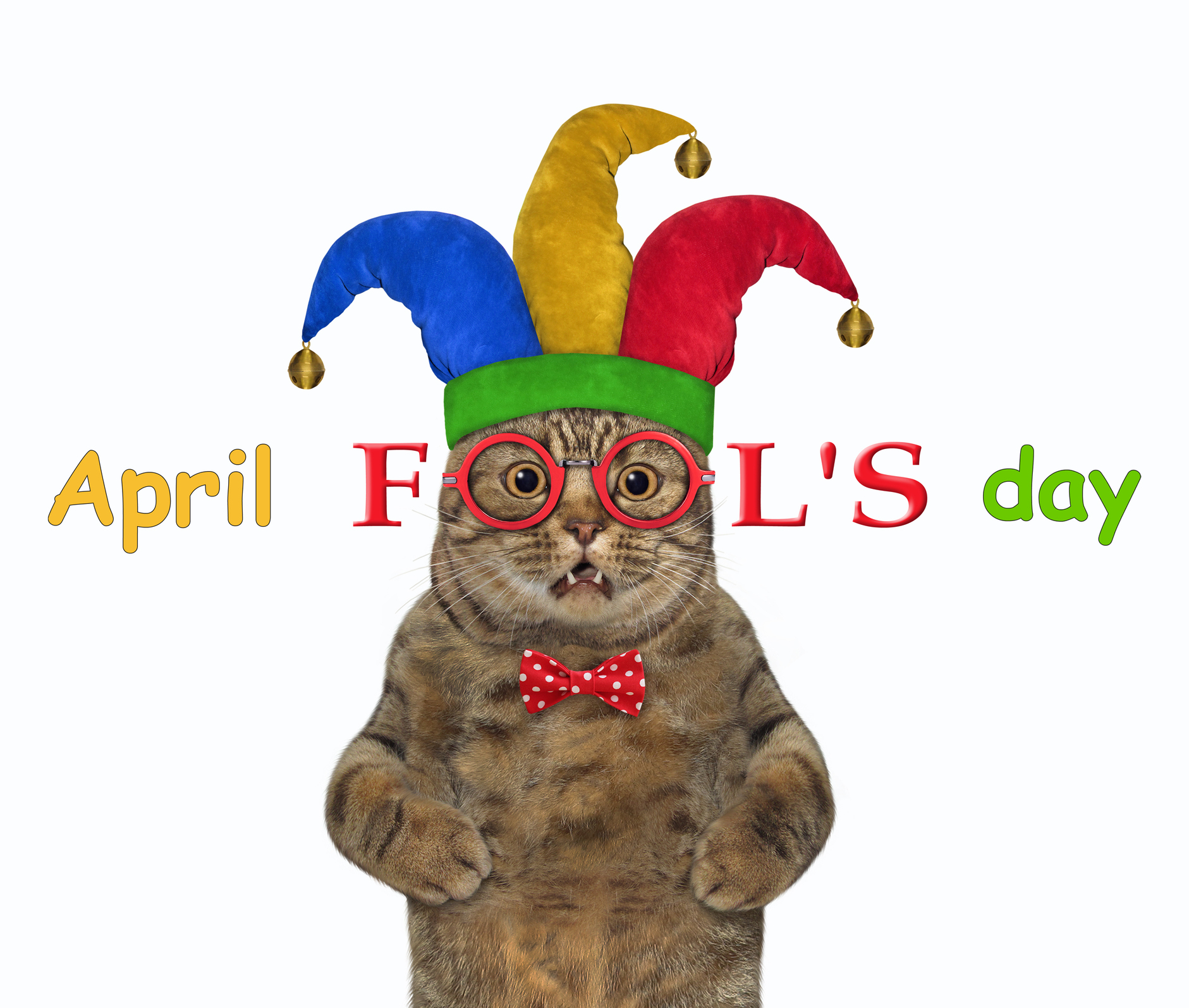 April Fool's Day cat wearing multicoloured jester hat